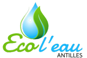 ecoleau logo no background