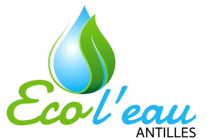 ecoleau logo no background